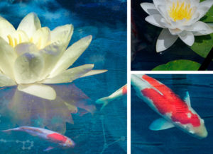 Water Element 2 - Close up of sections of the digital collage artwork