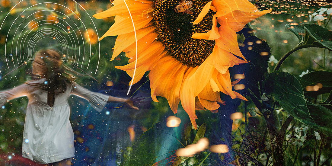 Summer Solstice Sun Beauties Collage art