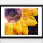 Summer Flower Magic - Giclée print