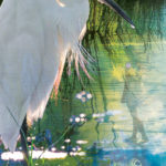 Heron Wisdom print from the Through the Frame collection.